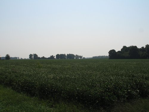 Property photo 6 - 192.5+/- Acres Offered in 3 Tracts